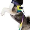 American River Choke Free Dog Harness Ombre Collection - Cosmic Splash