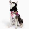 American River Choke Free Dog Harness Ombre Collection - Cotton Candy