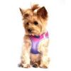 American River Choke Free Dog Harness Ombre Collection - Raspberry Sundae