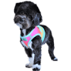 American River Choke Free Dog Harness Ombre Collection - Beach Party