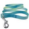 American River Ombre Leash - Aruba Blue