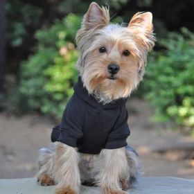 Flex-Fit Dog Hoodie - Black (Size: Small)