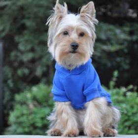 Flex-Fit Dog Hoodie - Blue (Size: Small)