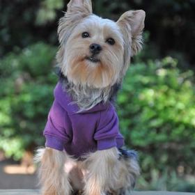 Flex-Fit Dog Hoodie - Purple (Size: Small)