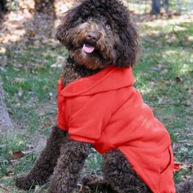 Flex-Fit Dog Hoodie - Red (Size: Small)