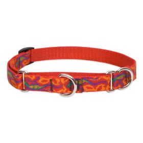 Go Go Gecko Martingale (Size: 10-14, 3/4in)